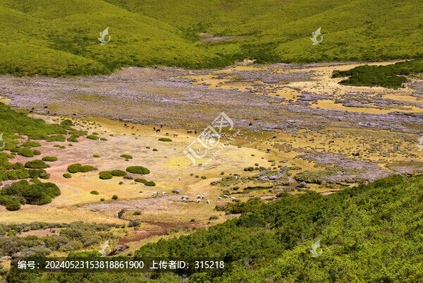 谷克德索瑪花景區(qū)