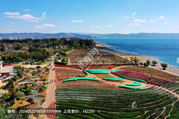 仙湖風(fēng)光