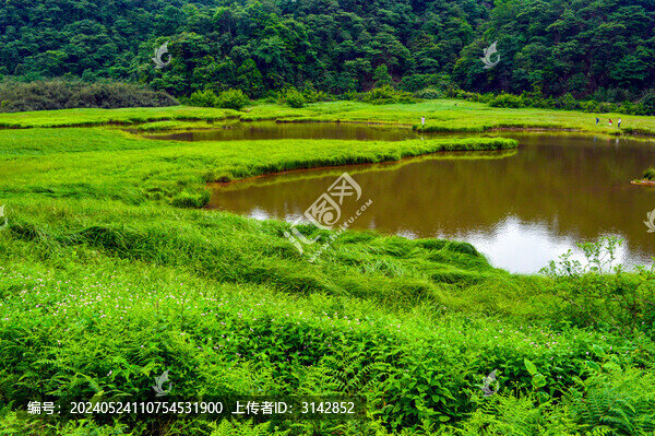 濕地