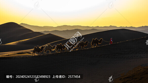 庫木塔格沙漠黃昏暮歸的駝隊(duì)