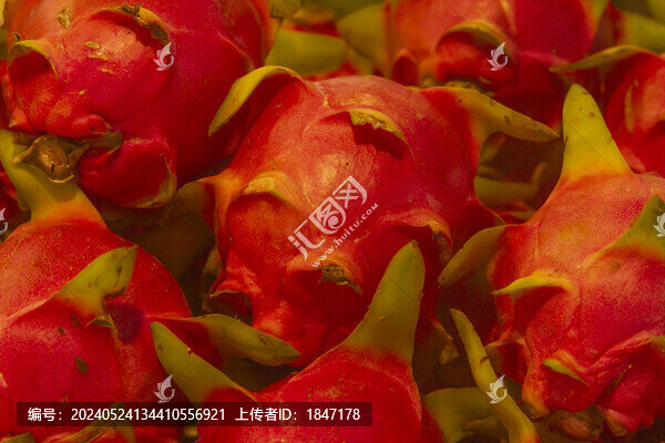 火龍果