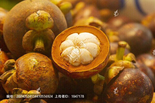 山竹