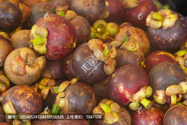 山竹
