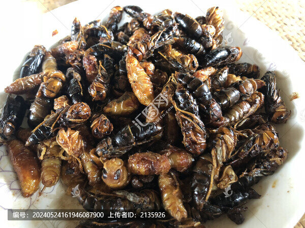 油炸蜂蛹