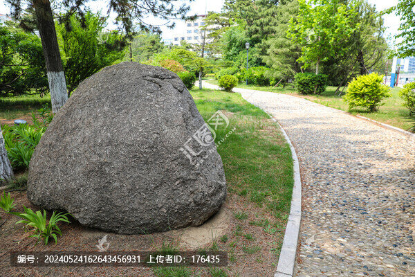 公園大石頭