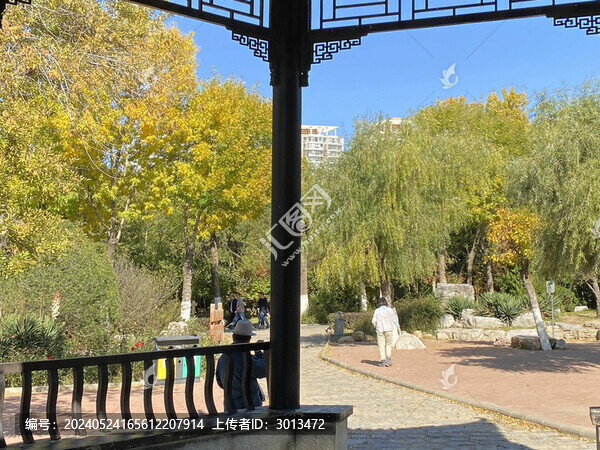 庭院景觀