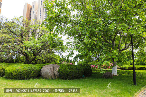 公園美景