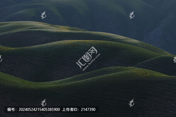 人體草原