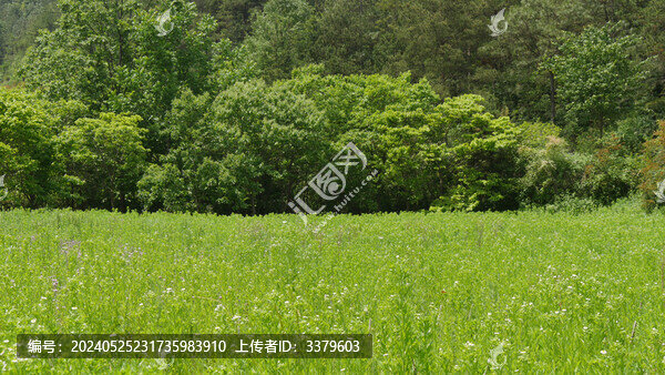 藍(lán)天白云下的青山