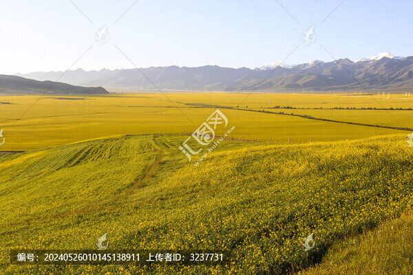 青海祁連山門源風(fēng)光