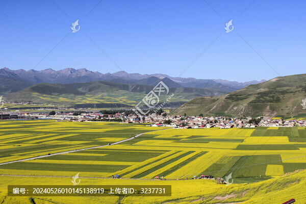 青海祁連山門源風(fēng)光