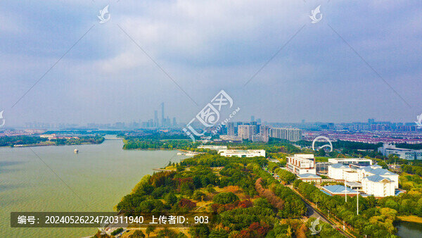 白鷺園水杉林