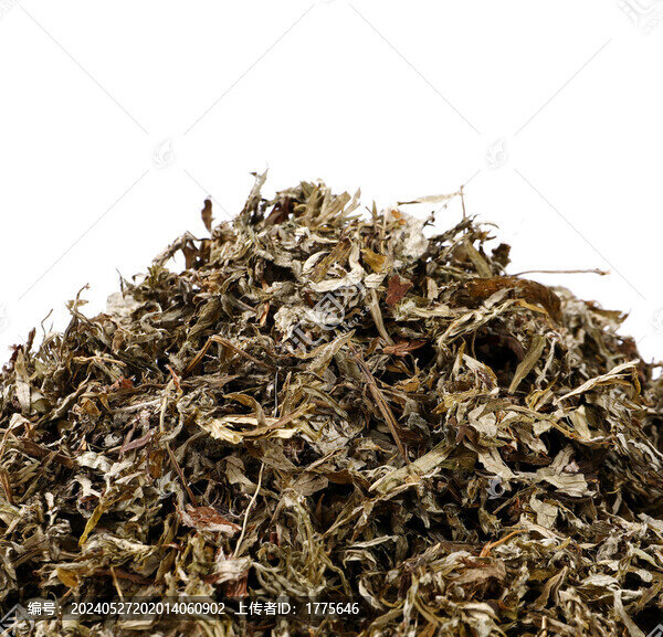 艾草葉干艾草艾草艾葉