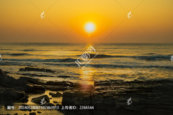 海灘