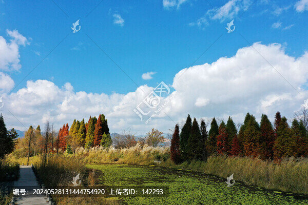 滇池風(fēng)光