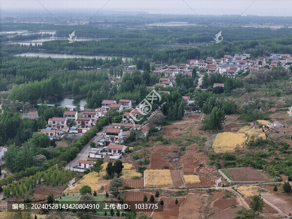 微山湖枊泉鎮(zhèn)套里村