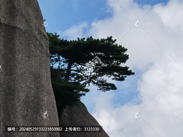 黃山蓮花峰