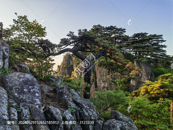 黃山始信峰