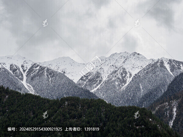 林芝雪山
