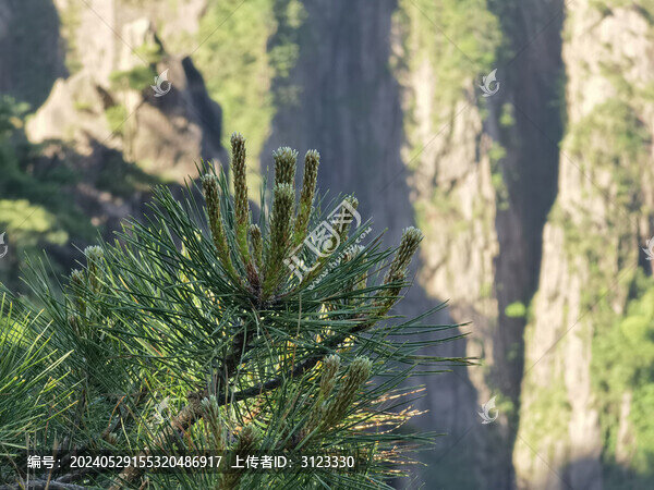 黃山西海大峽谷