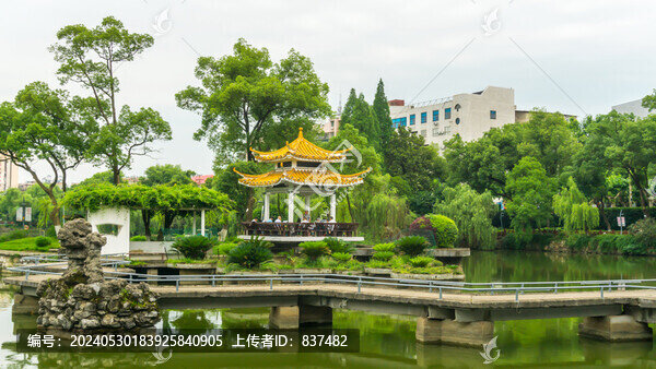 湖畔景觀