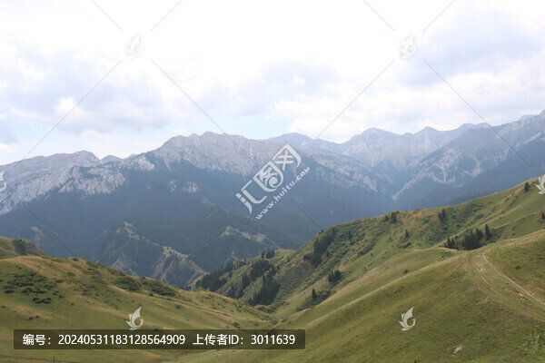 高山草原