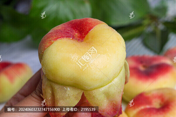紅心黃蟠桃