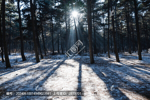 長春凈月潭冬季冰雪景觀