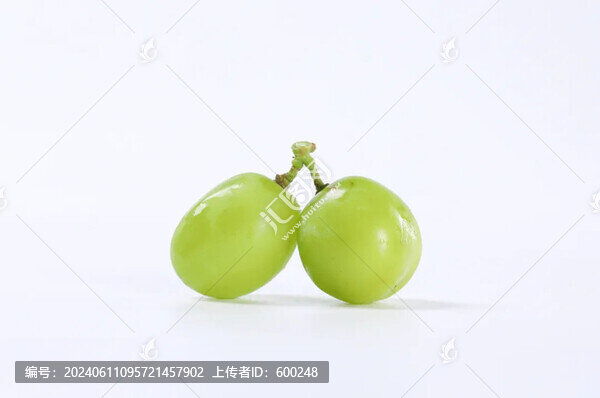 青葡萄