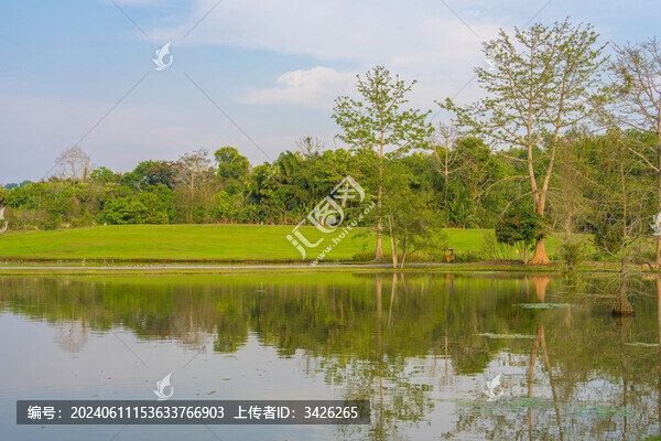 西雙版納中科植物園里的綠植景觀