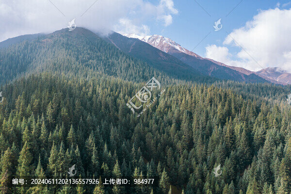 青海海北祁連山森林航拍風光