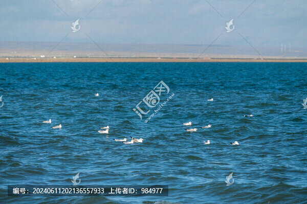 青海西寧青海湖自然風(fēng)光