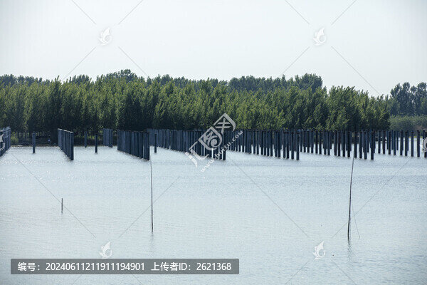 微山湖水上光伏電站建設(shè)中