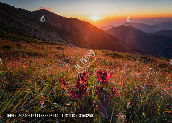太白山日出