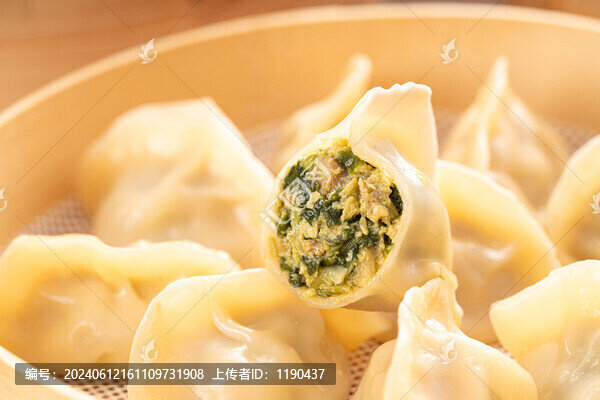 韭菜雞蛋鮮肉餃子