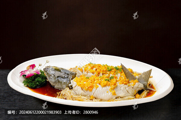 黃金松鼠魚