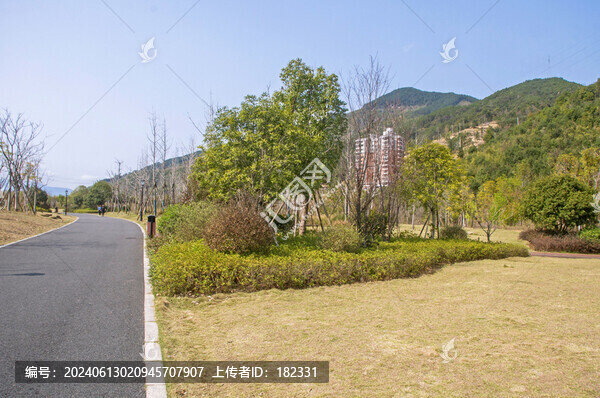 公園綠化和小路