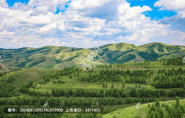 夏天背景