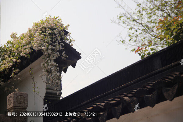 花墻-匯圖網(wǎng) www.fosd68.com 花墻