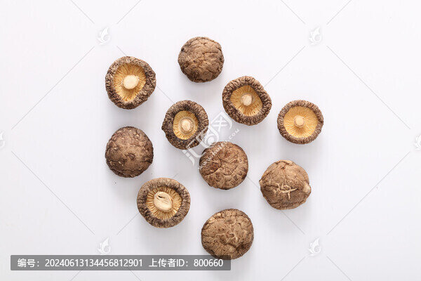 香菇