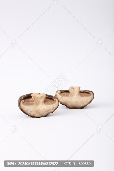 香菇