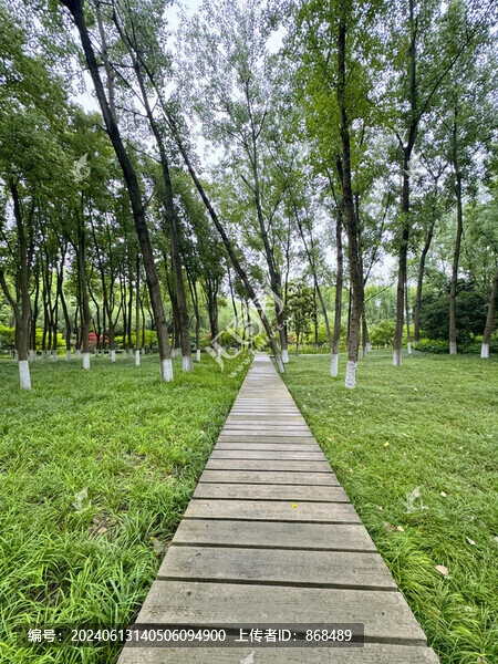園林木道