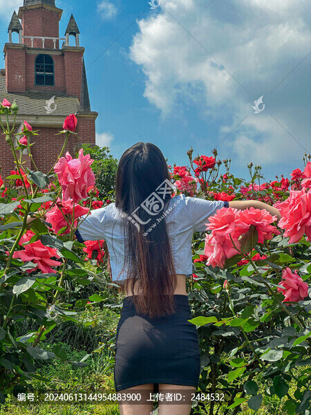 在玫瑰花叢中拍照的美女