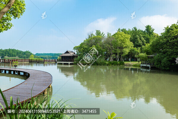 沙家浜蘆葦蕩
