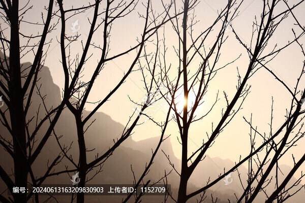 落日剪影