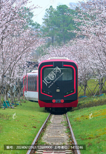 花海中的觀光小火車