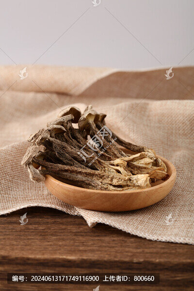 鹿茸菇