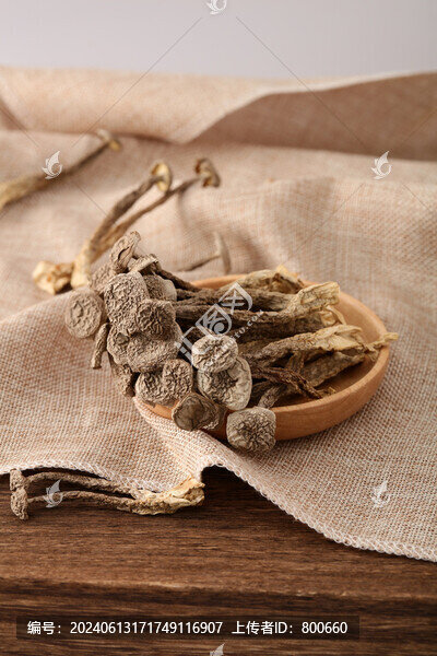 鹿茸菇