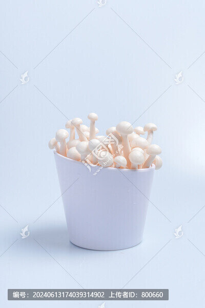 火鍋菜品金針菇