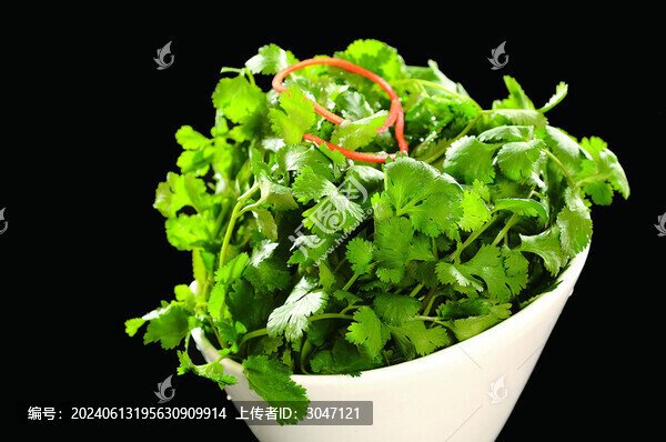 香菜
